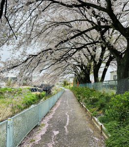 渋川市　住宅リフォーム補助金