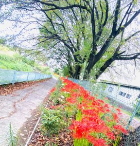 前橋市内装リフォーム工事着工